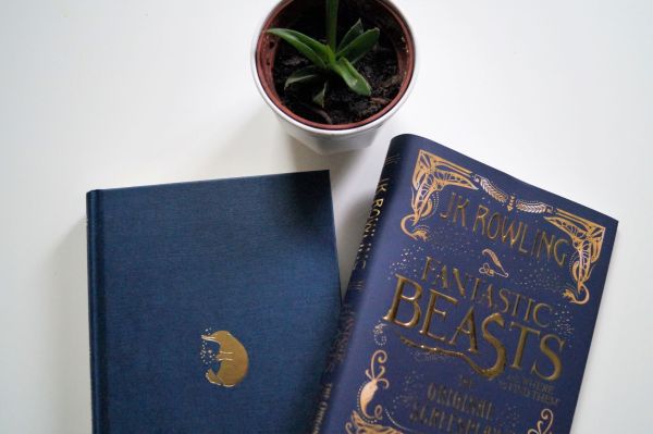 Fanstastic Beasts and Where to Find Them Cover