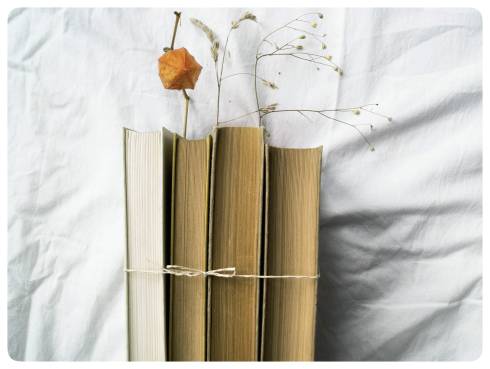 Beschäftigungstipps für die Quarantäne