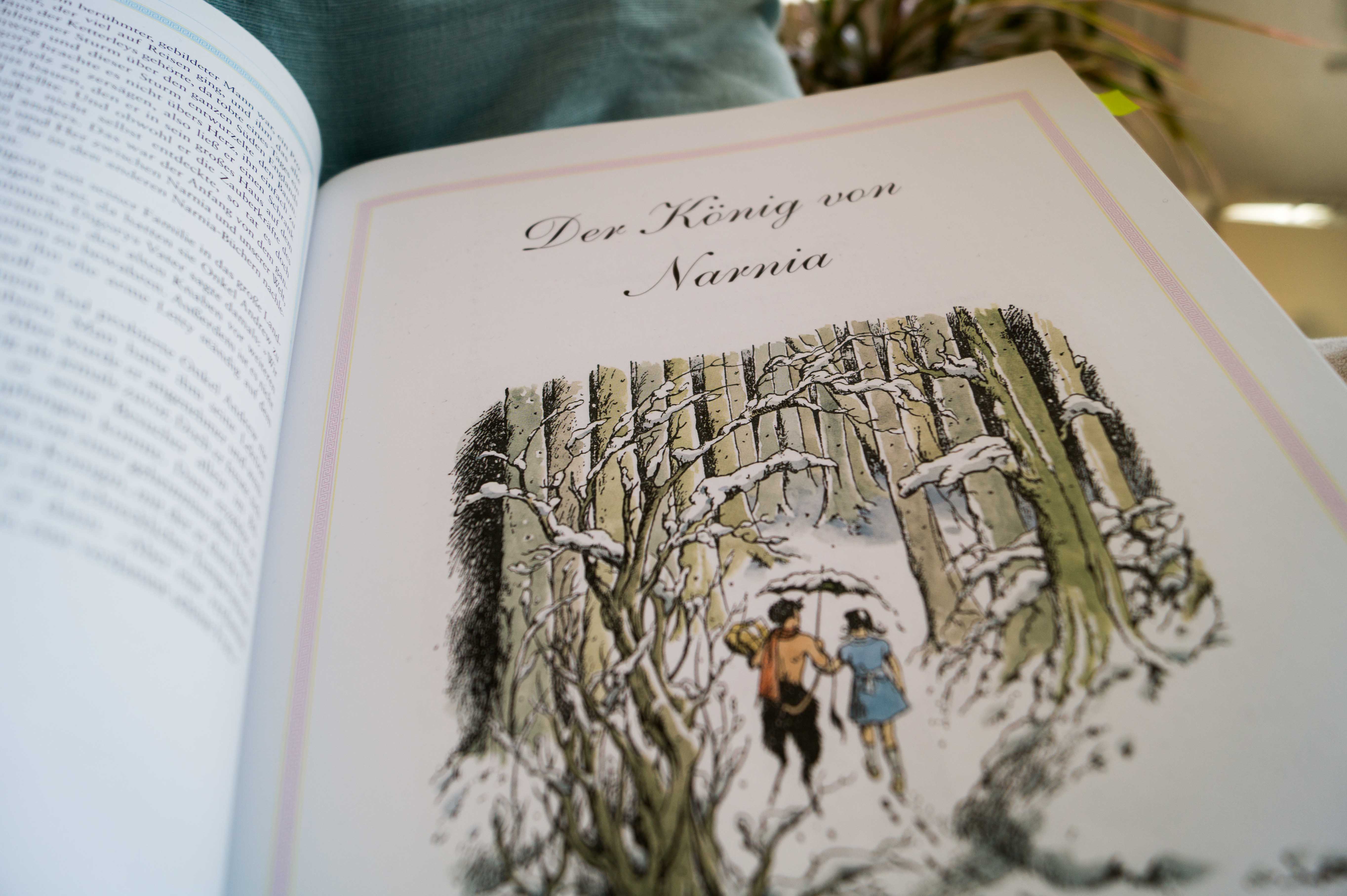Buchrezension: C. S. Lewis – Die Chroniken von Narnia 2 – Der König von