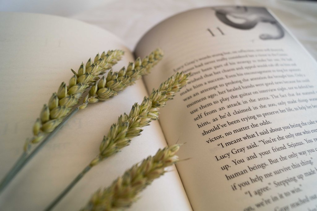 Das Lied von Feuer und Schlange