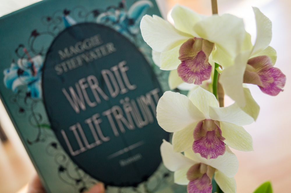 Buch mit Orchidee