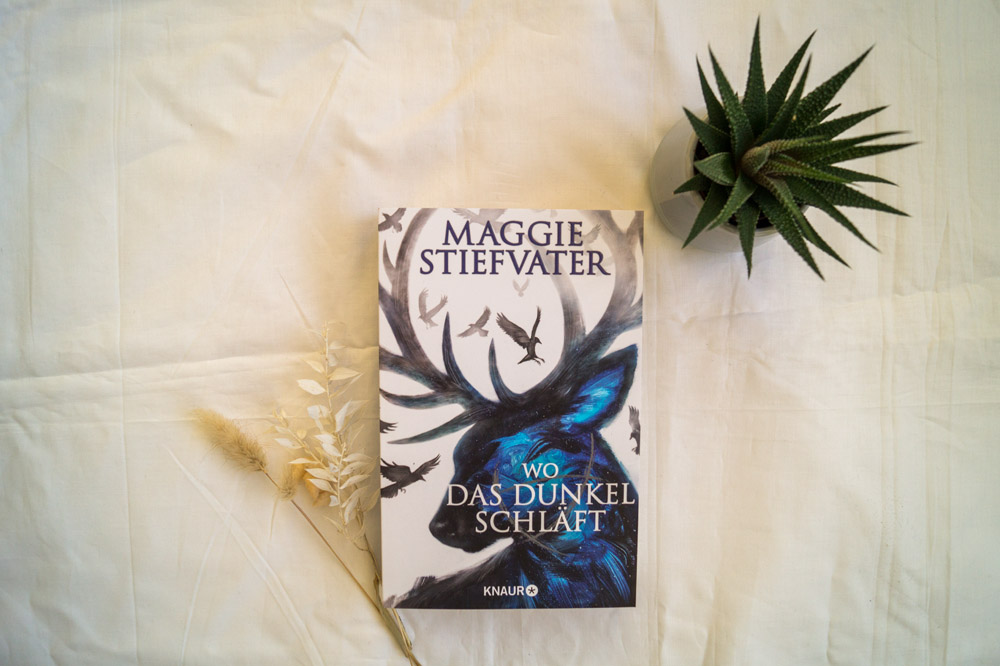 Maggie Stiefvater – Wo das Dunkel schläft