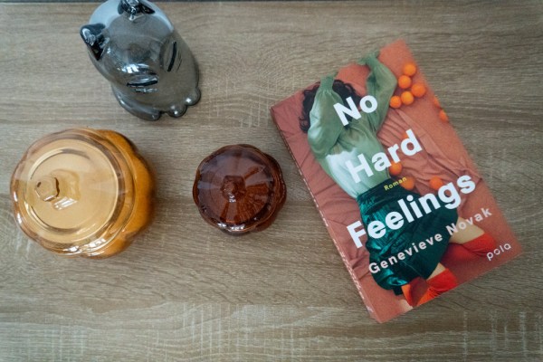 Das Buch "No Hard Feelings" von Genevieve Novak mit Deko drapiert.